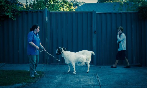 Woman with goat