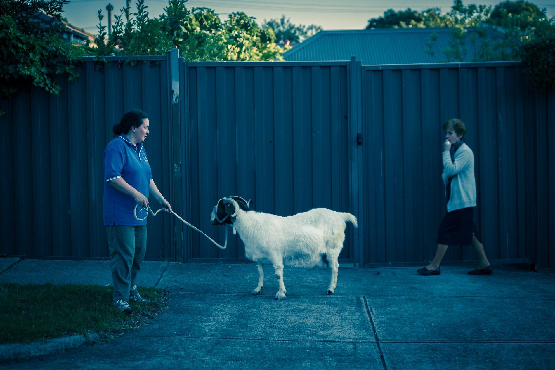 Woman with goat